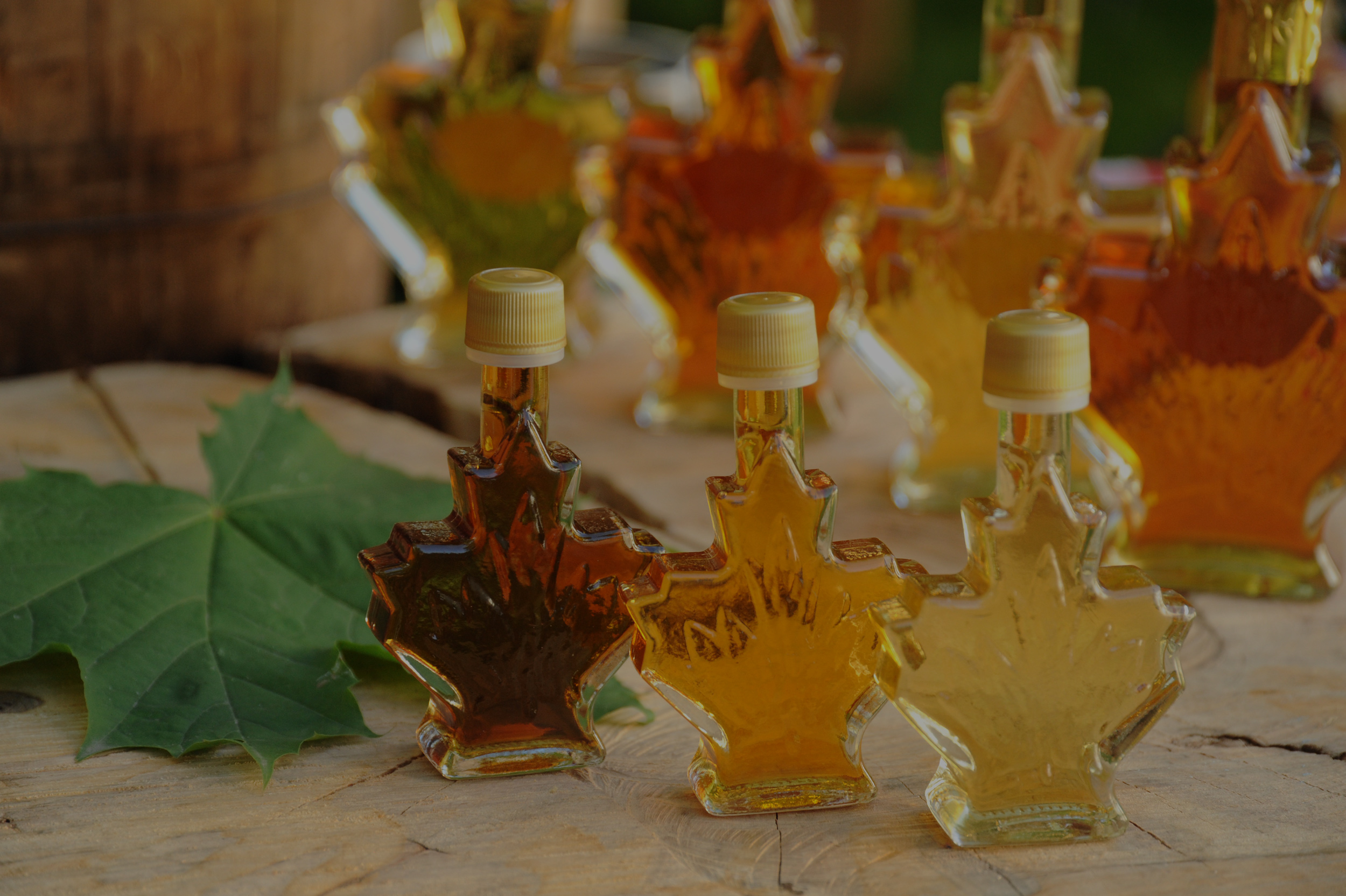 Maple Syrup from Sainte-Marie-De-Beauce